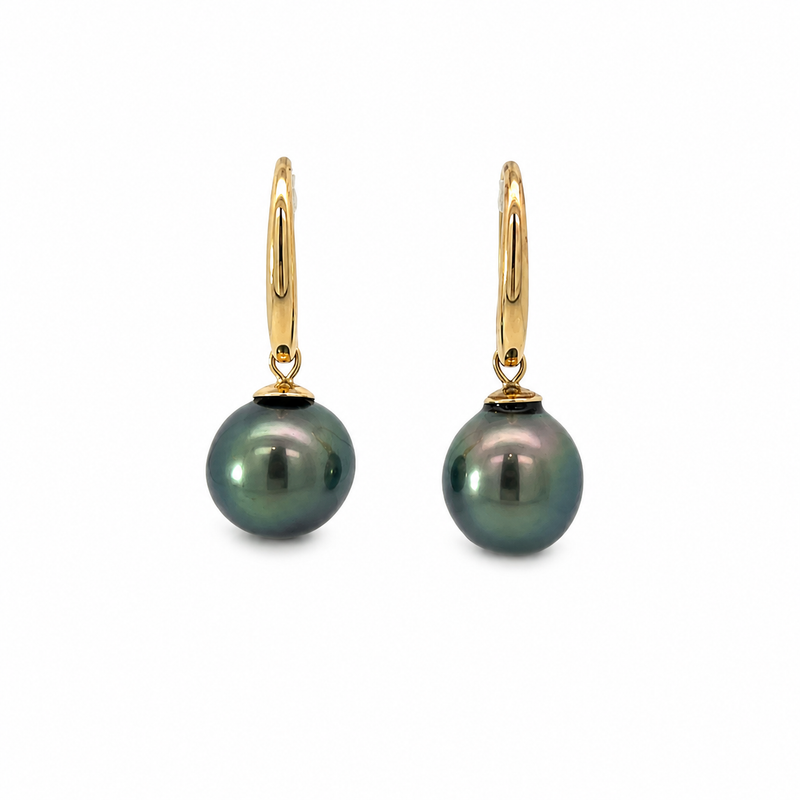 Pair of dark Tahitian pearl drop earrings with polished 9K yellow gold hooks on a white background