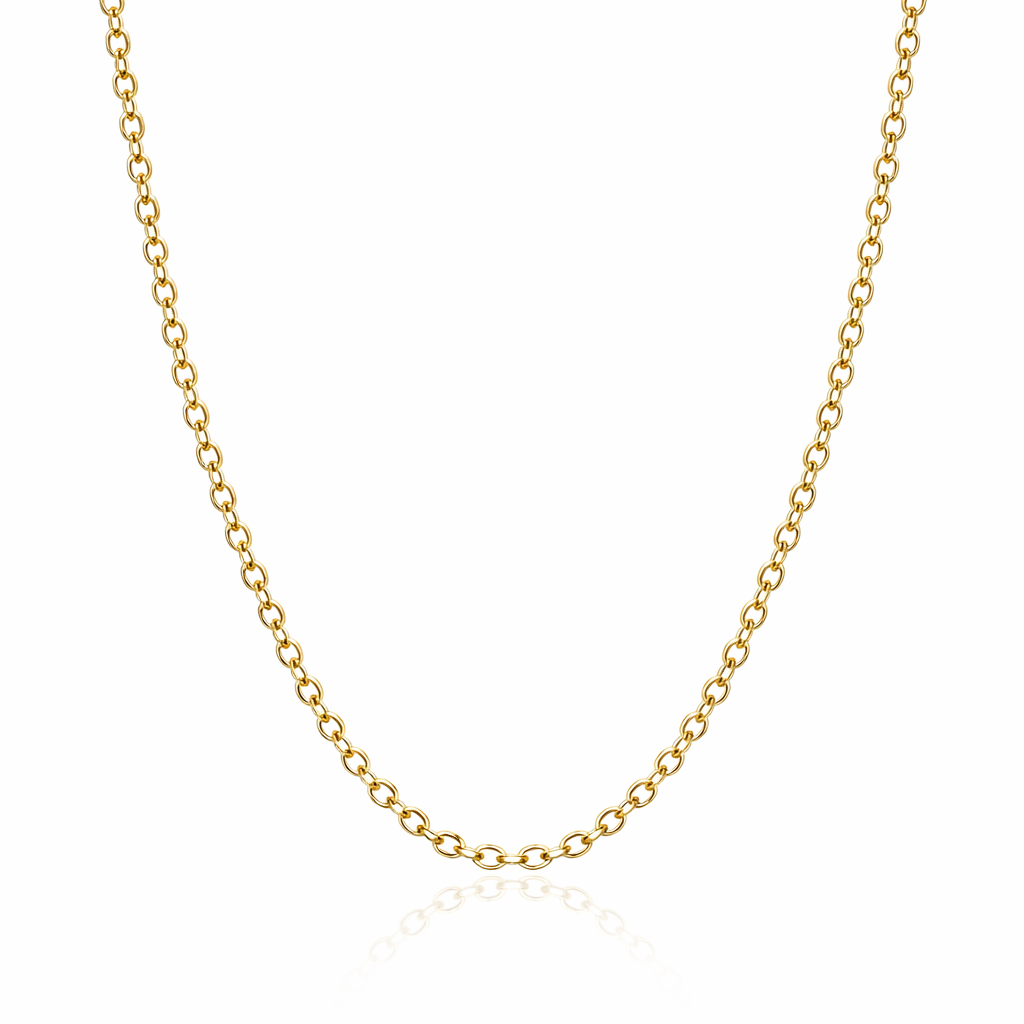 Plated 14K Gold Stainless Steel Necklace 55cm