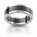 Zirconium Band With White Gold Rivets