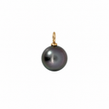 Tahitian pearl pendant with an 18k yellow gold bail on a white background