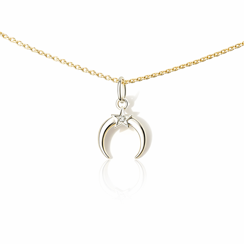 Petals New Best Friend Moon Necklace In Silver