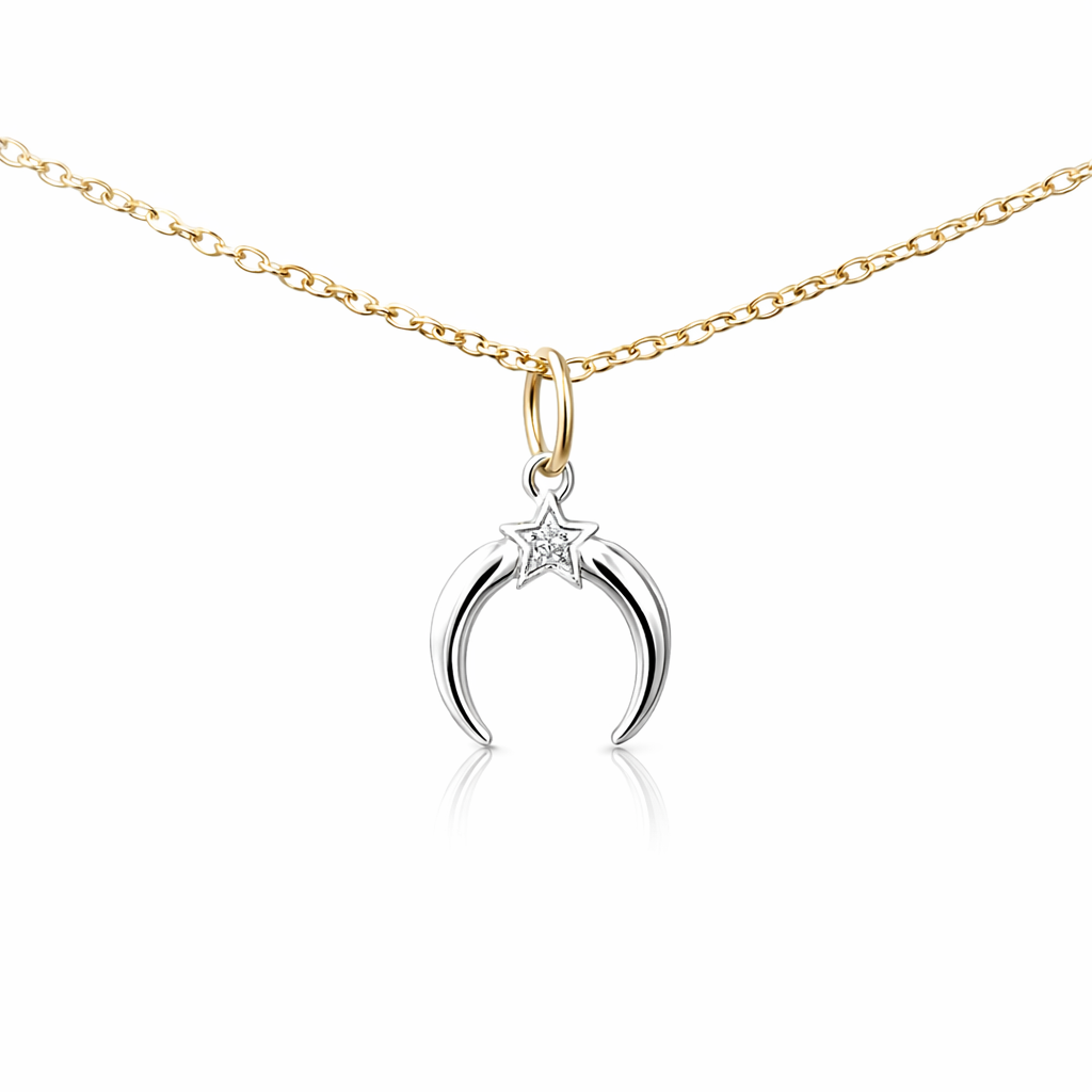 Petals Silver Necklace Crescent Moon &amp; Star "A New Best..."