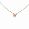 Petals Plated Hashtag # "influencer" Silver Necklace