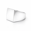 Signet Ring | Rectangular In Sterling Silver
