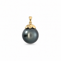 Tahitian pearl pendant with a 9k yellow gold cap and tapered bail on a white background