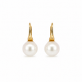 Pair of freshwater pearl earrings with gold-plated sterling silver leverback closures on a white background