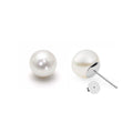 Freshwater Pearl Stud Earrings | 14K