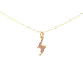 Petals Lightning Strike "Go forward.." Silver Necklace