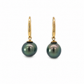 Pair of dark Tahitian pearl drop earrings with polished 9K yellow gold hooks on a white background